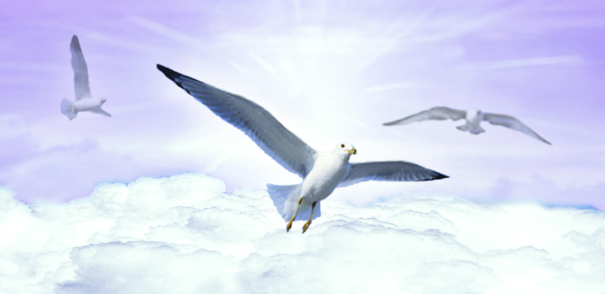 Walton Purple Sky Birds PROOF